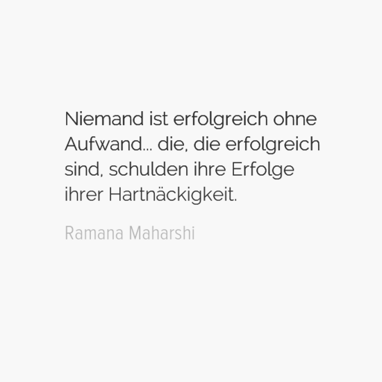 niemandisterfolgreichohne0aaufwanddie2cdieerfolgreich0asind2cschuldenihreerfolge0aihrerhartnc3a4ckig-default