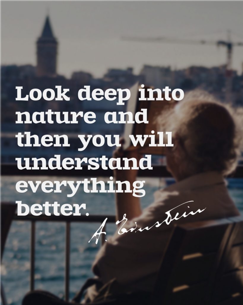 Englisch: "Look deep into nature and then you will understand everythi...